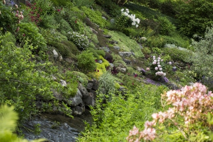 اپلیکیشن شناسایی گیاهان