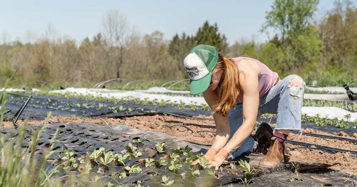 مشاغل تابستانی در بریتیش کلمبیا-زنی در حال کار در مزرعه