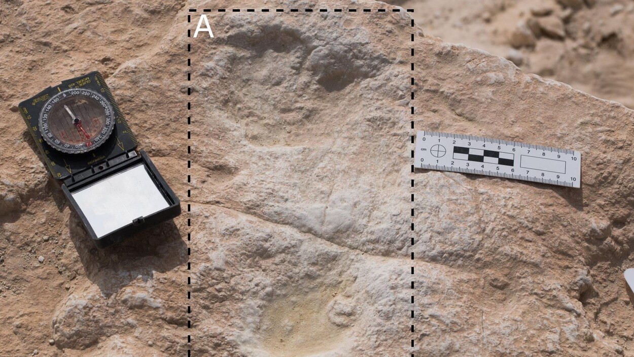 کشف ردپای 120 هزار ساله انسان خردمنددر عربستان