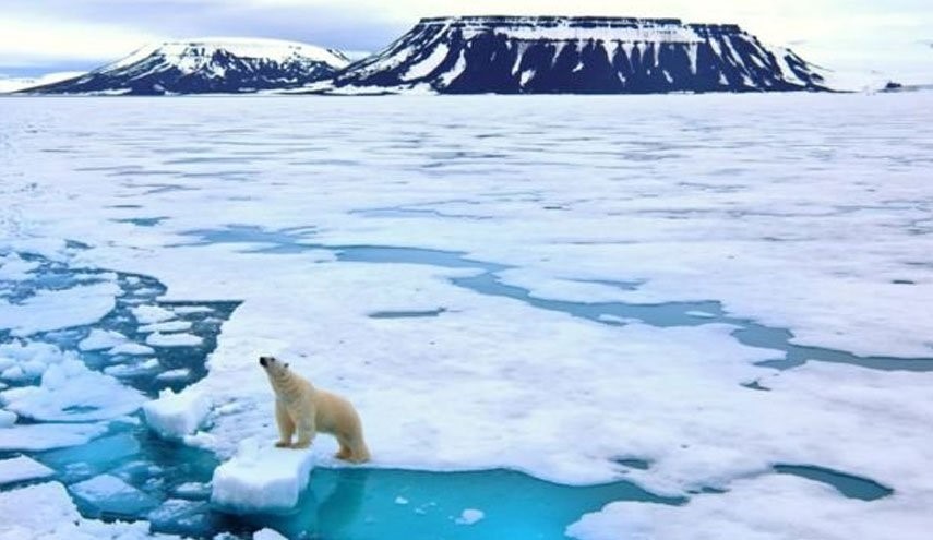 قطب جنوب- خرس قطبی به تکه یخی تکیه داده