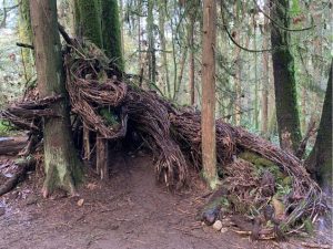 زمرد و بچه‌هایش-پارک رابرت برنابی