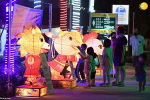 سال نوی چینی