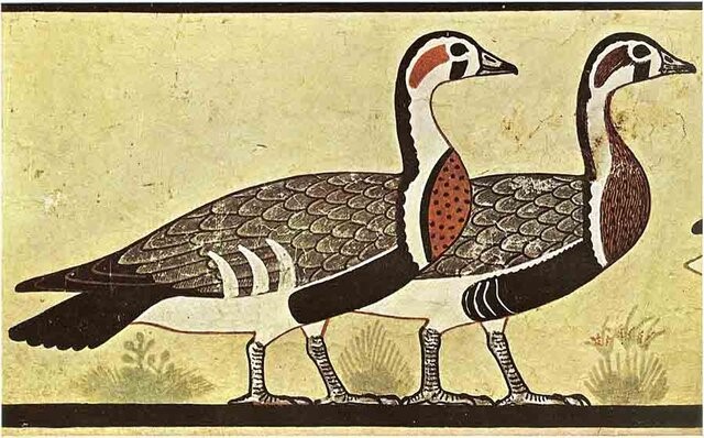 گونه ناشناخته‌ غاز در نقاشی‌های مصر باستان
