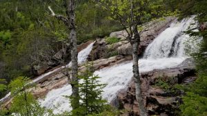 ۴ مسیر رویایی برای پیاده‌روی در کانادا