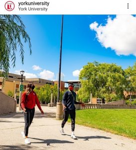 دانشگاه یورک