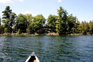 جزیره سیب‌زمینی