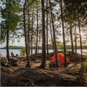 جزیره ماهی سفید