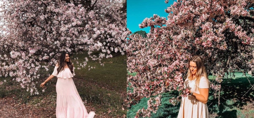 زنی زیر درختی با شکوفه‌های صورتی