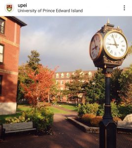 داشگاه پرنس ادوارد