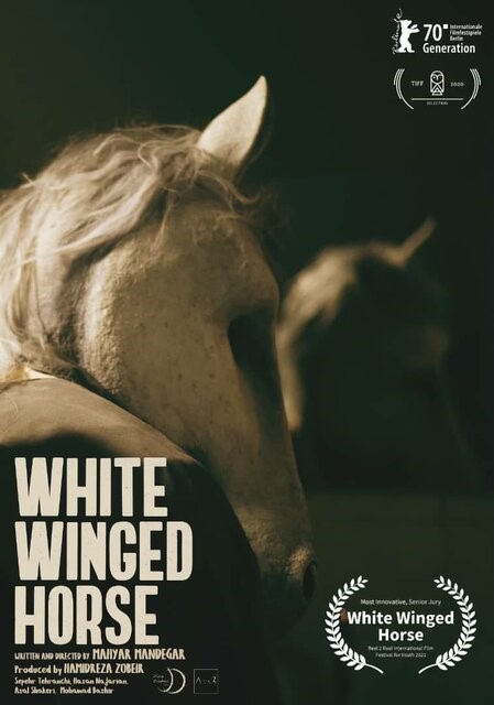 اسب سفید بالدار برنده خلاقانه‌ترین فیلم جشنواره کانادایی