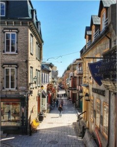 کبک سیتی، کبک