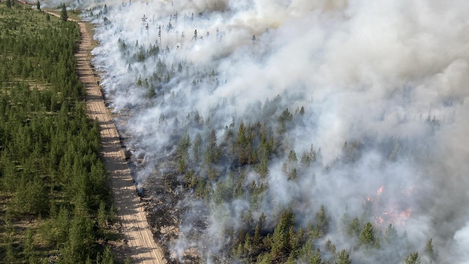 آتش سوزی جنگل‌ها و کیفیت هوا