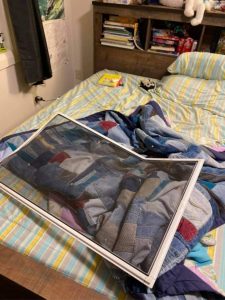 خرس سیاه در خانه ای در آلبرتا