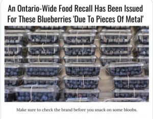 زغال اخته Driscoll