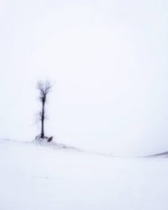 پارک استانی Sandbanks