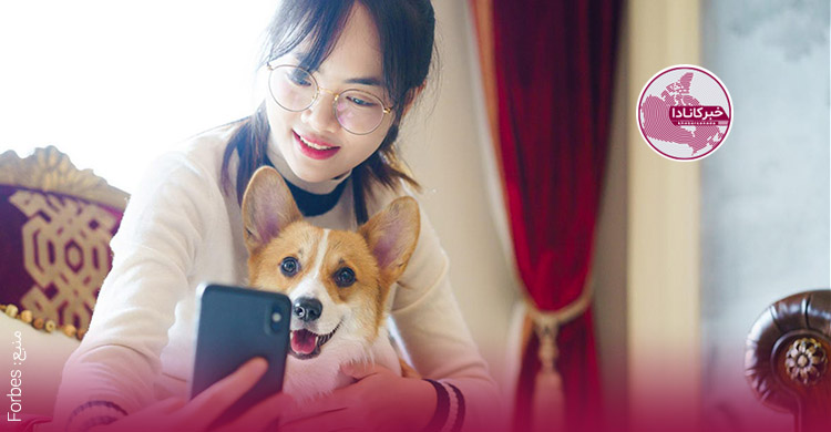 دامپزشکی آنلاین برای صاحبان حیوانات خانگی