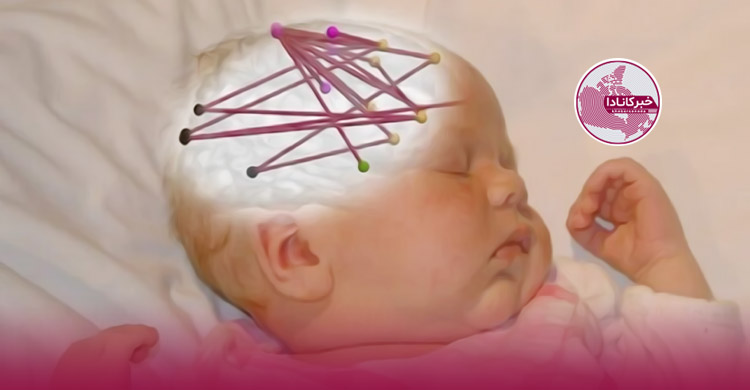 تاثیر داروهای ضدافسردگی مادر بر رشد مغز نوزاد