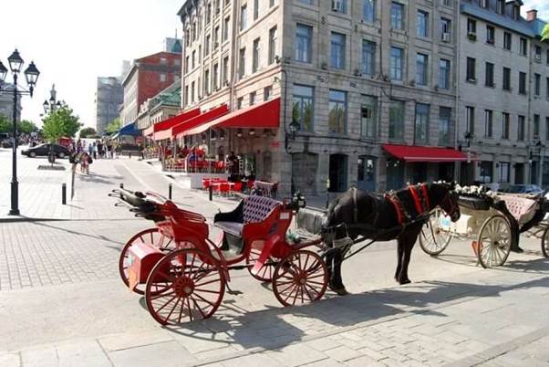 فضاهای نوستالژیک مونترال