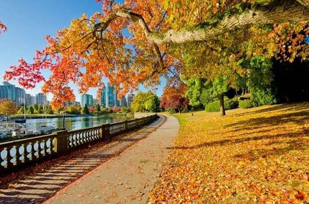 پارک استنلی