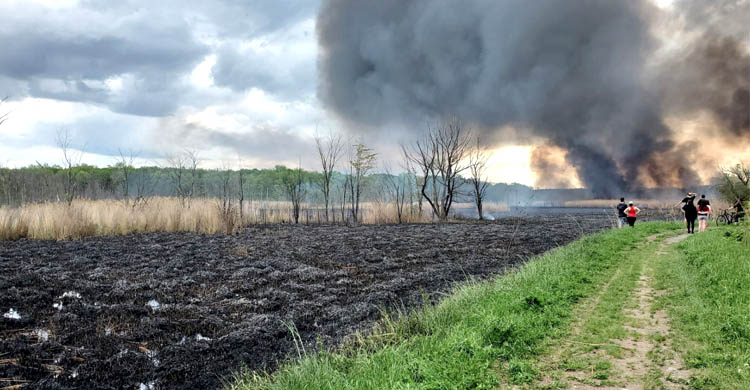 آتش سوزی در کانادا