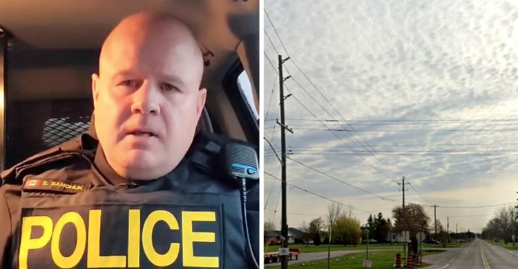 حیوان آزاری