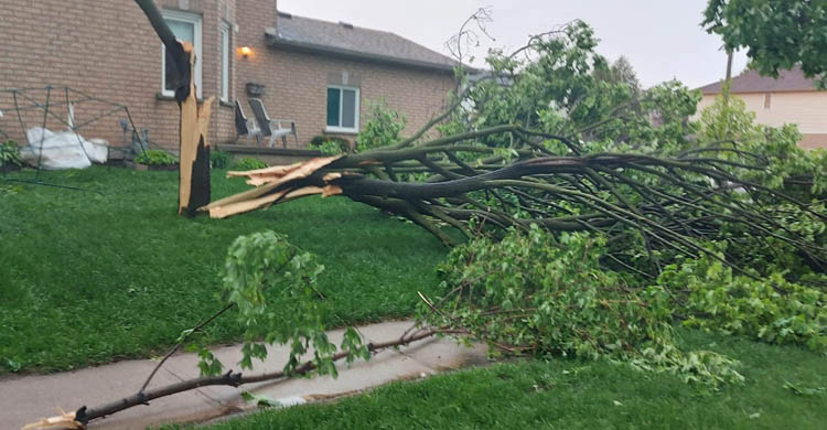 ساخت خودروی بدون پنجره!