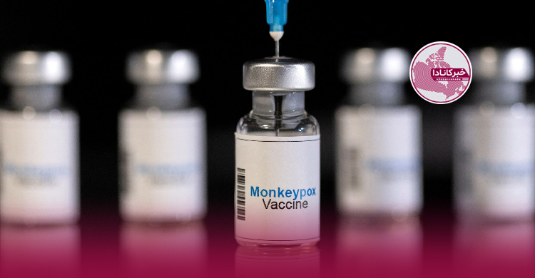 کبک آماده واکسیناسیون علیه آبله میمون است