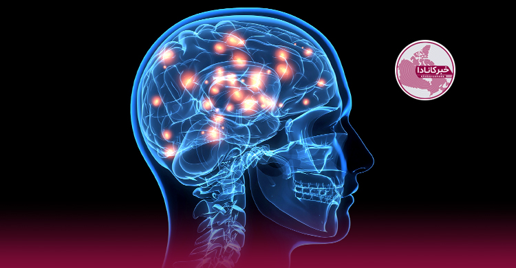 شناسایی سلول‌های مغزی مرتبط با بیماری پارکینسون